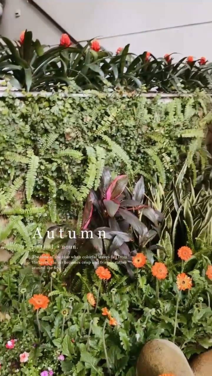 Phanh Lee - vợ Tổng Giám đốc tập đoàn Cocobay khoe nhẹ vài góc nhà chuẩn bị đón Tết, netizen choáng ngợp vì độ xa hoa - Ảnh 6.