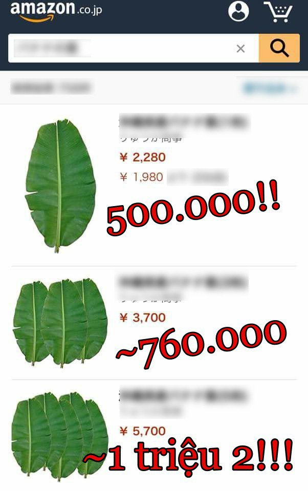 Nghịch lý thú vị: Rau của Việt Nam sang Nhật bị coi là cỏ nhưng những loại cây rẻ bèo lại được bán với giá cao trong siêu thị - Ảnh 10.