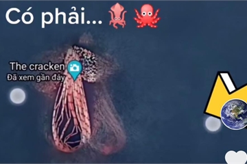Sự thật về hình ảnh "bạch tuộc khổng lồ" chụp qua Google Maps đang gây xôn xao TikTok