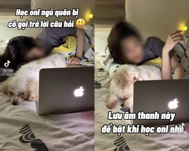 Drama căng đét giới TikTok: Hot girl làm 1 loạt clip hướng dẫn học sinh gian lận, bị lên án, lời đáp trả càng gây phẫn nộ - Ảnh 2. Drama căng đét giới TikTok: Hot girl làm 1 loạt clip hướng dẫn học sinh gian lận, bị lên án, lời đáp trả càng gây phẫn nộ - Ảnh 2.