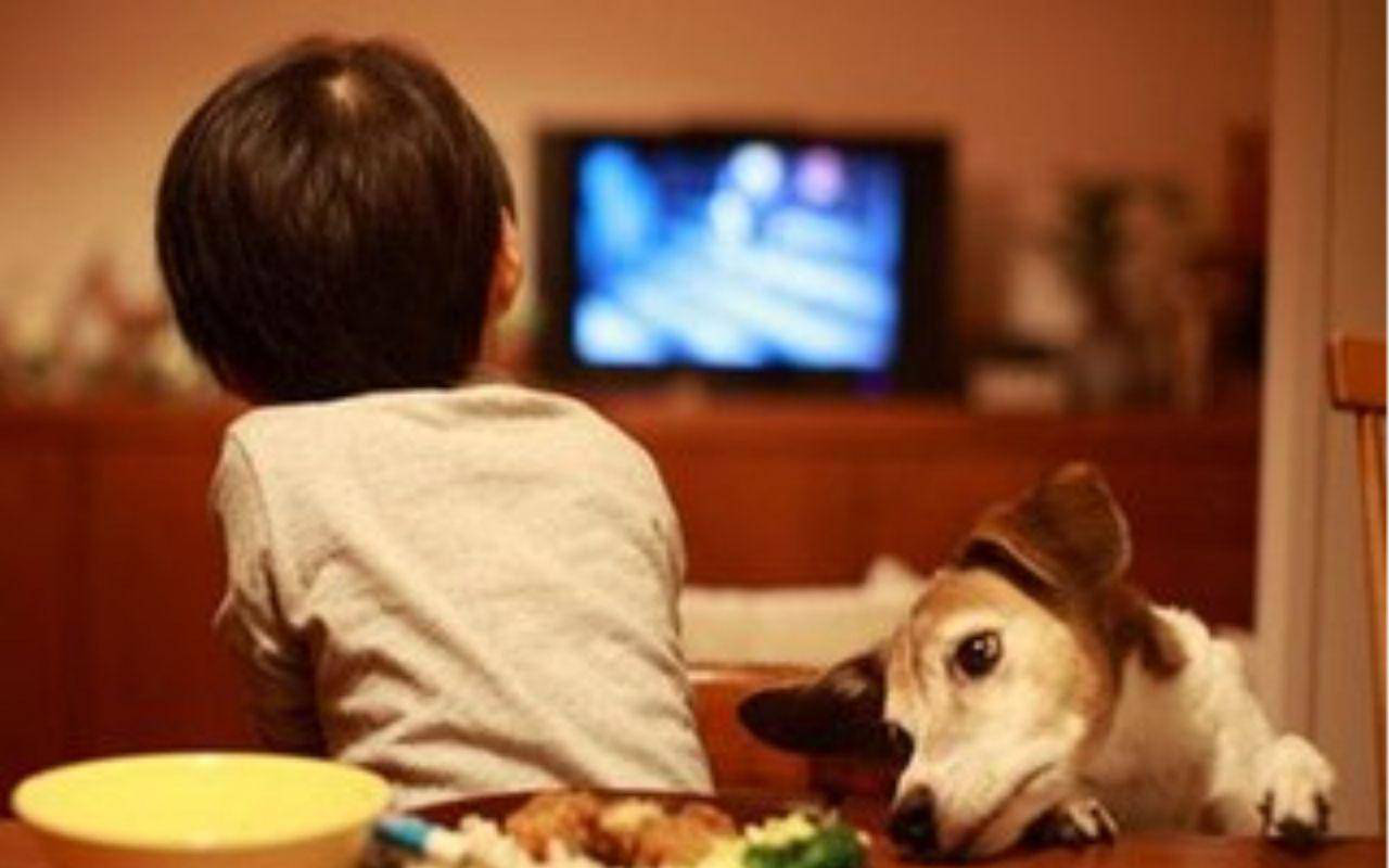 Con trai liên tục nói có người bước ra từ ti vi, ai cũng không tin nhưng sự thật sau đó khiến bà mẹ hối hận