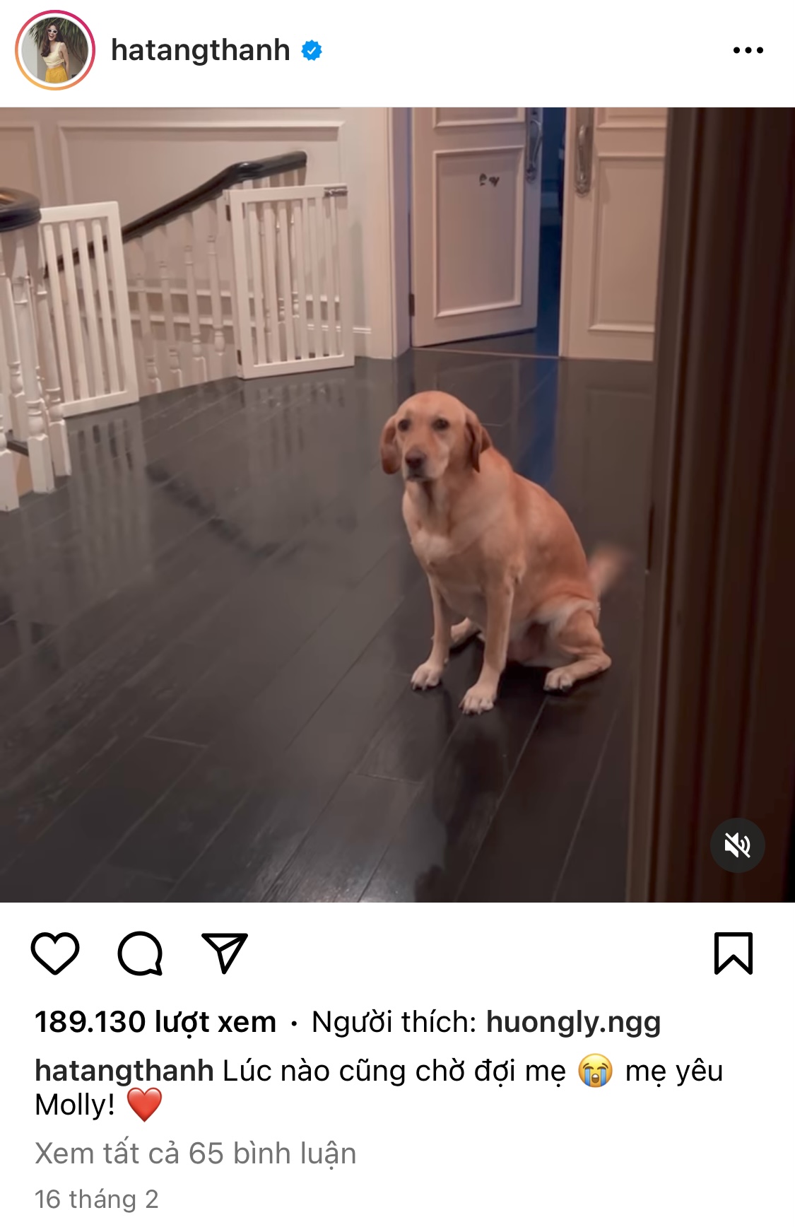 Hà Tăng tiết lộ bạn thân của quý tử nhà tài phiệt, là nhân vật nào mà vừa gặp đã yêu? - Ảnh 7.