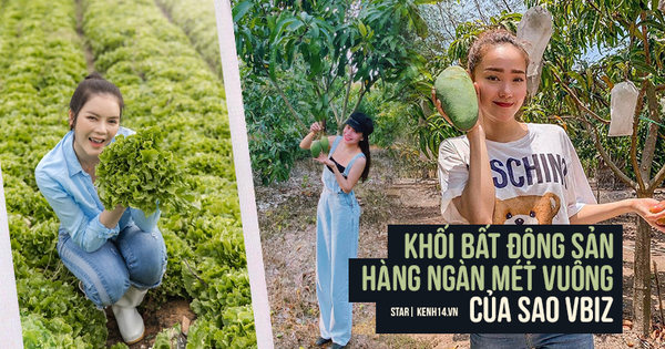 Mục sở thị bất động sản chục ngàn mét vuông của sao Việt: Toàn để trồng rau nuôi cá