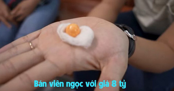 Cắn phải ngọc quý khi ăn ốc giác, một gia đình Vũng Tàu hô bán 8 tỷ đồng!