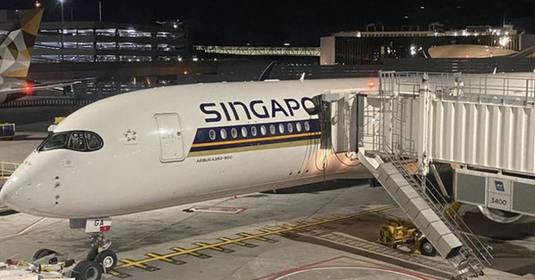 Bí mật ẩn sau 6 chiếc ghế luôn 'cháy vé' của hãng hàng không Singapore Airlines