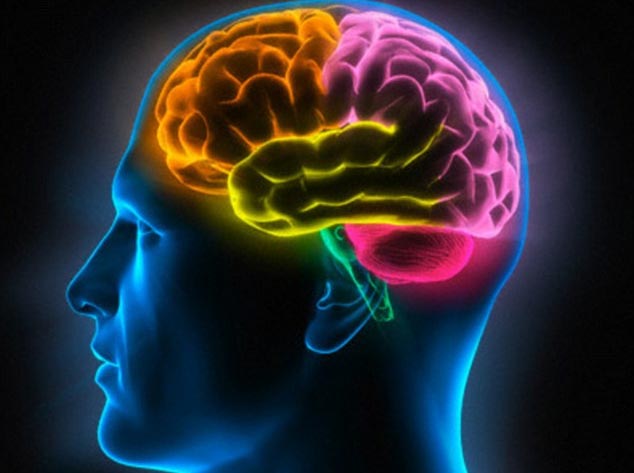 Phim khiêu dâm hủy hoại não như nghiện ma túy - 1