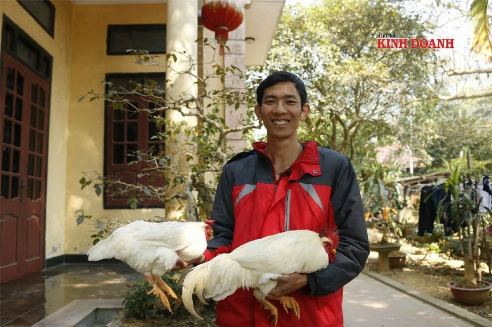 Anh Nguyễn Văn Đức, người khởi nghiệp với gà 9 cựa.