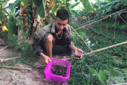 Tỷ phú ốc ở tuổi 23