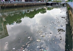 HCM City canals battle severe pollution