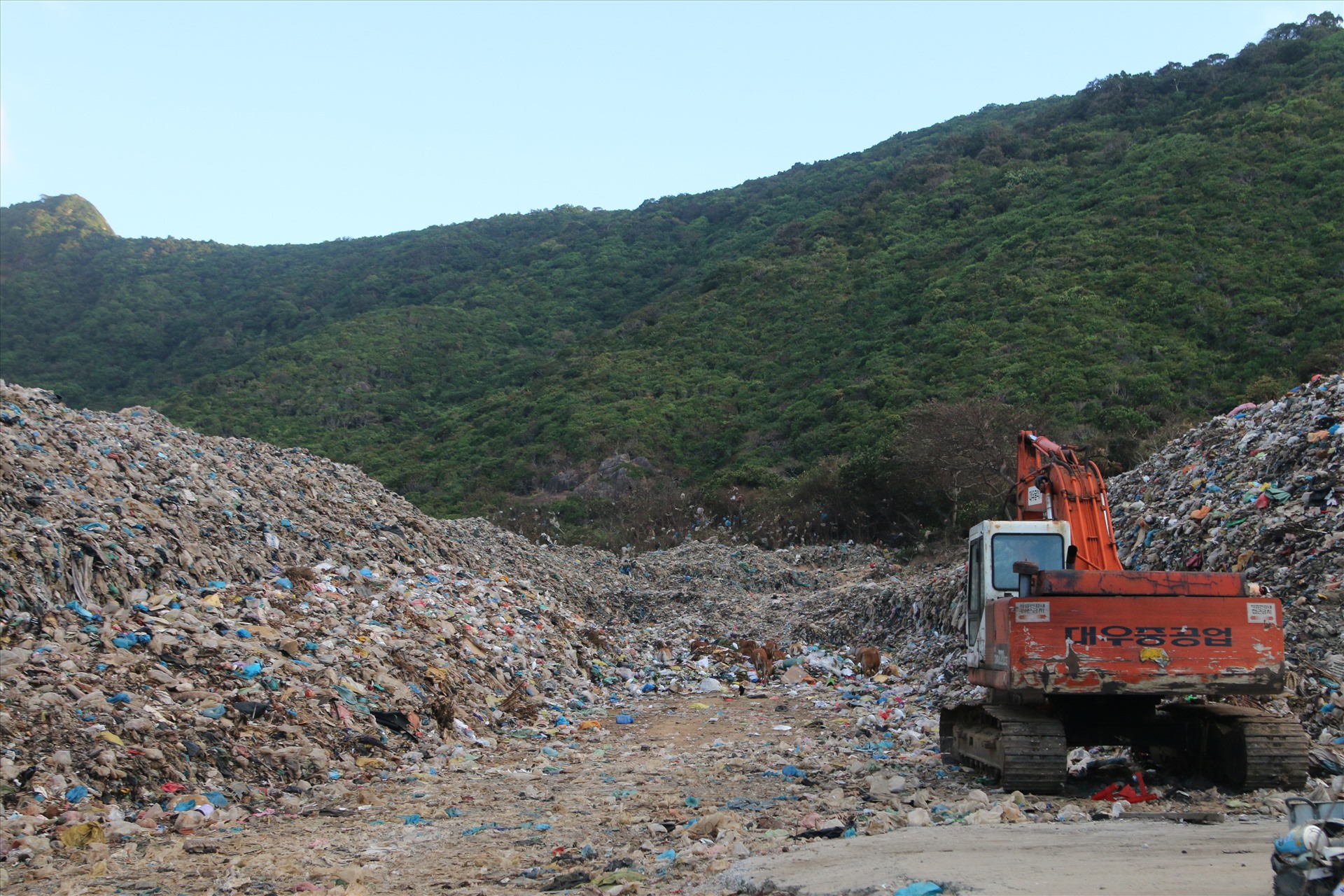 Con Dao struggling to deal with waste disposal headache