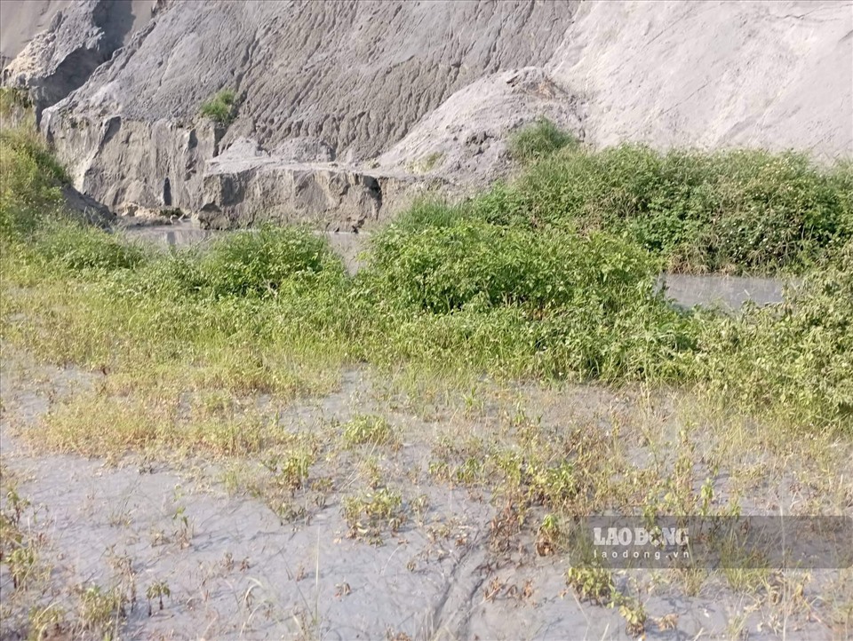 Khi phát hiện sự cố, Công ty đã đắp ngăn nhưng khối lượng lớn nước thải đã tràn ra môi trường.