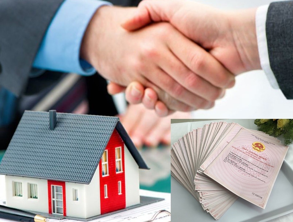 Sang tên toàn bộ Sổ đỏ không phải đo lại đất. Ảnh: M.H