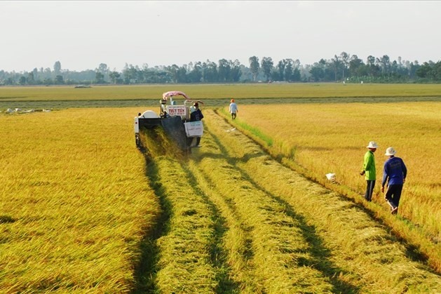 Điều kiện chuyển từ đất nông nghiệp sang đất ở năm 2021