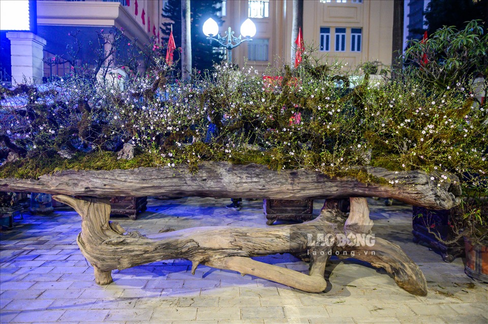 Hình ảnh trên là tác phẩm có tên gọi “Nhất chi mai - Cửu long quy tụ” có giá gần 300 triệu đồng. Tác phẩm này được tạo nên từ 9 cây mai, phần đế được thiết kế từ một thân gỗ lim dài 4,5 m, có hình dáng như một con thuyền.