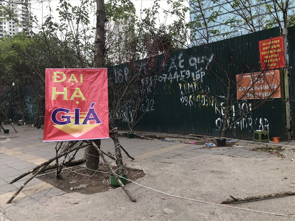 Lái buôn treo biển đại hạ giá để thu hút khách hàng. Ảnh: Trang Thiều