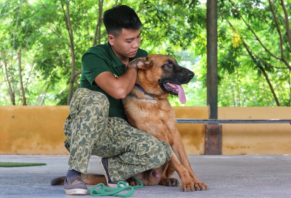 Học phí tiền triệu, dịch vụ huấn luyện chó nghiệp vụ đắt khách ở Hà Nội