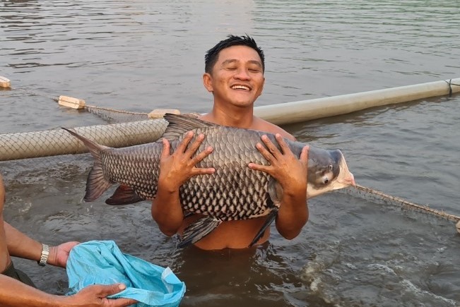 Chàng trai Tiền Giang nuôi cá 'khủng' hốt bạc tỉ mỗi năm