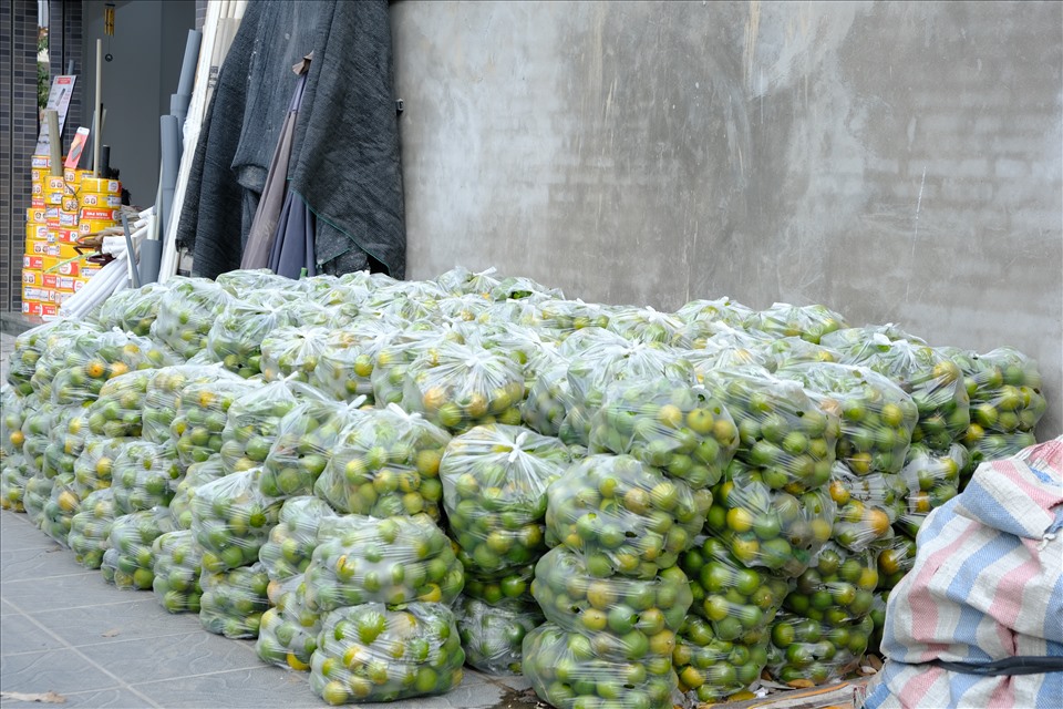 Hoài nghi chất lượng cam Vinh 'hỗ trợ nhà vườn' giá 7.000 đồng/kg
