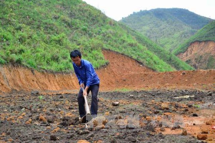 3 trường hợp được cấp sổ đỏ với đất khai hoang