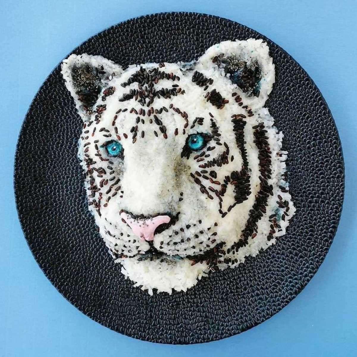 Những đĩa đồ ăn ngon lành, nhiều dinh dưỡng được trang trí đầy sống động.