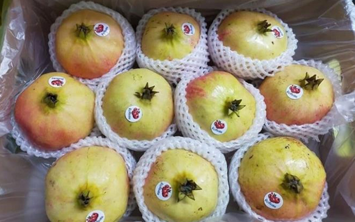 Chinese pomegranates that weigh between 300 grams and 600 grams cost between VND90,000 and VND110,000 per kilogram. (Photo: Vnexpress.net)