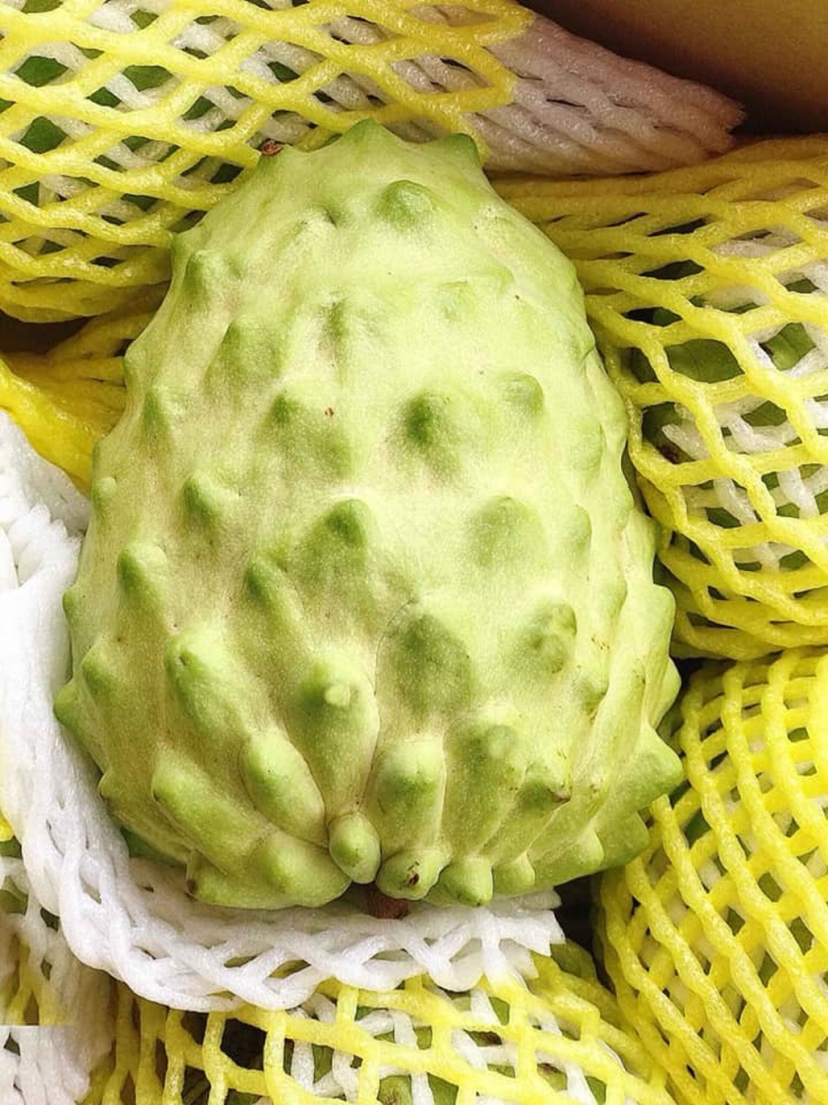 A giant custard apple is valued at up to VND500,000 each. Despite economic difficulties due to the novel coronavirus (COVID-19) epidemic, they still prove popular among local buyers. (Photo: Danviet.vn)