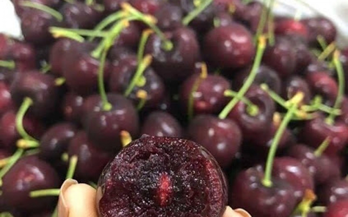 Cherries in the nation typically cost VND800,000 per kilogram. (Photo: Danviet.vn)