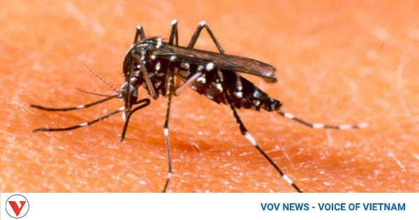 Sharp rise in dengue fever cases nationwide