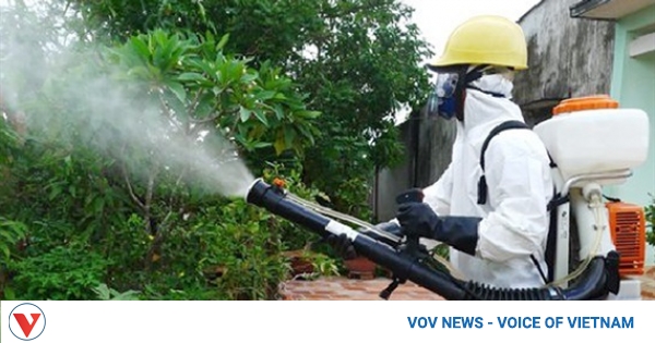 Cases of dengue fever hit majority of districts in Hanoi