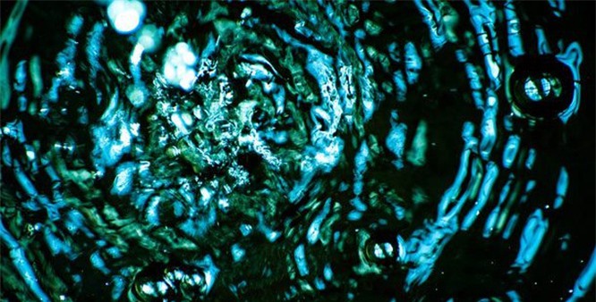 10 sự thật đáng kinh ngạc về đại dương mà chúng ta chưa biết - ảnh 2