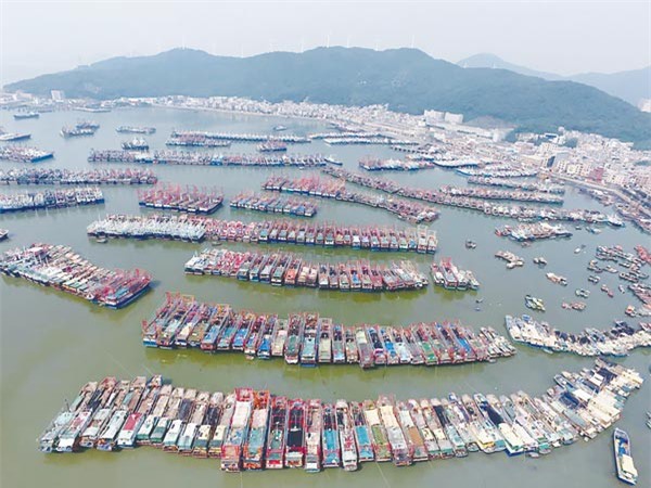 Shop TIN 3/8: Formosa xả thải, lãnh đạo Bộ TNMT ủy nhiệm bừa và... nhắm mắt ký - ảnh 7