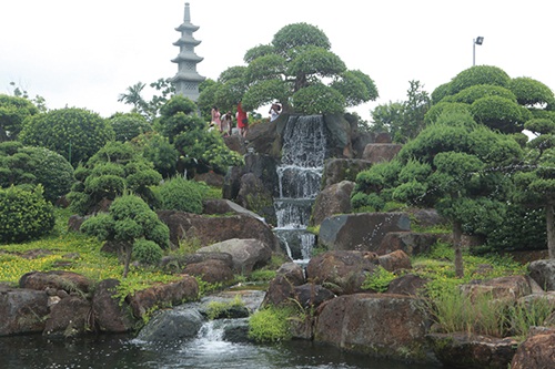 Choáng ngợp với cây sung