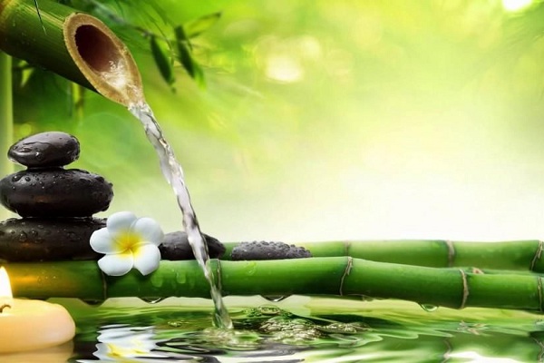 bai hoc cuoc song Giadinhvietnam