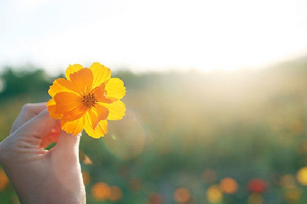 song hanh phuc Giadinhvietnam (1)