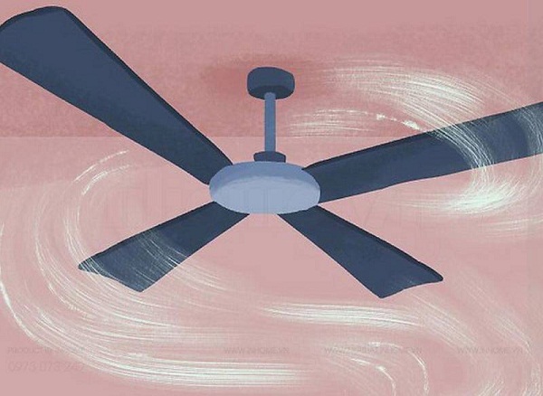 meo giup nha cua luon sach mat ma khong can dieu hoa Giadinhvietnam