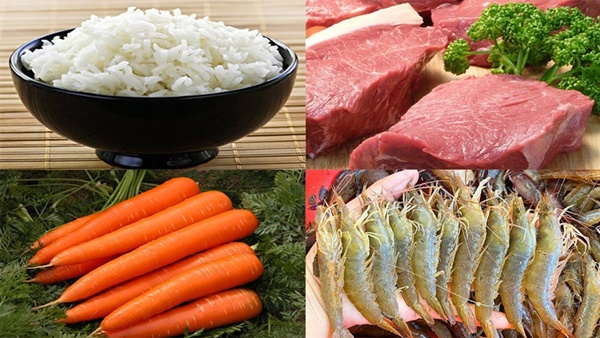 com chien hoang bao 3