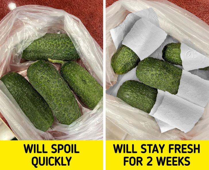 bao quan thuc pham Giadinhonline (1)