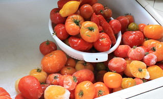 bao quan thuc pham Giadinhonline (12)