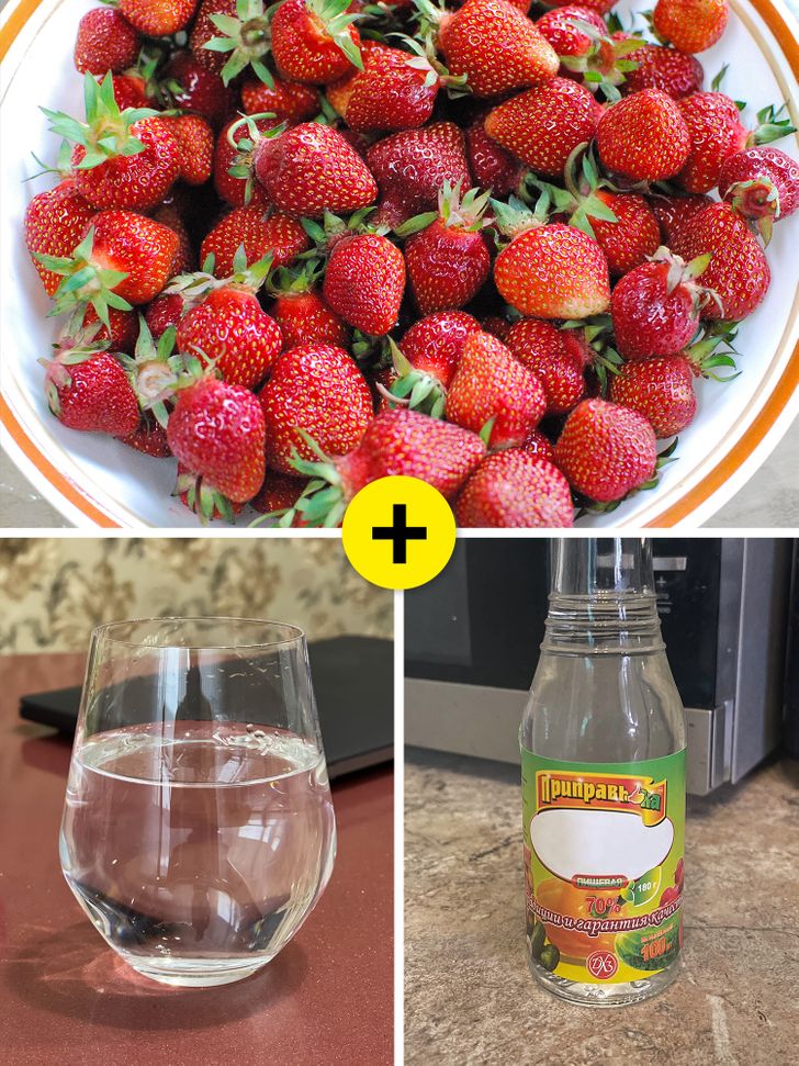 bao quan thuc pham Giadinhonline (3)