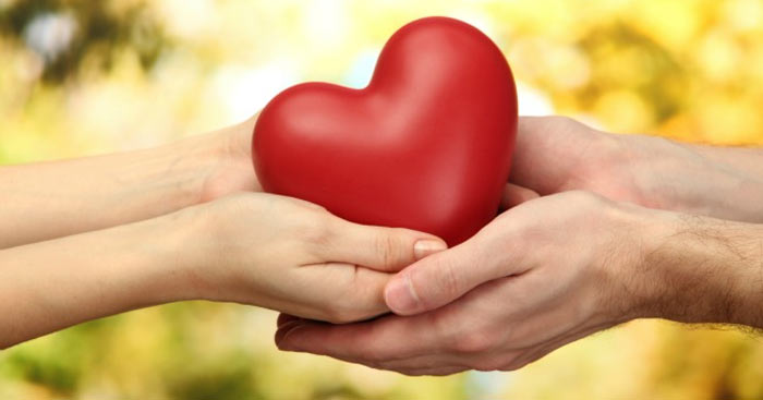 tu te Giadinhonline (2)