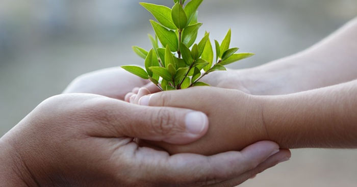 tu te Giadinhonline (3)