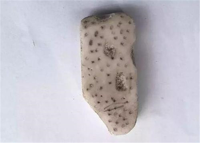 tap trung Giadinhonline (2)