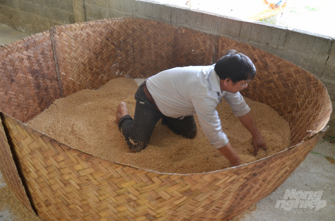 Anh Thanh đang san trấu lót chỗ úm gà. Ảnh: Dương Đình Tường.