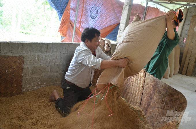 Vợ chồng anh Thanh đang trải trấu để lót chỗ úm gà. Ảnh: Dương Đình Tường.