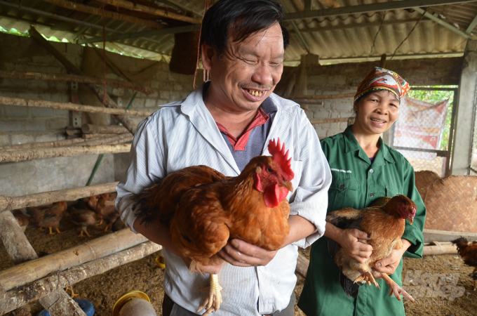 Vợ chồng anh Thanh vui với thành quả lao động. Ảnh: Dương Đình Tường.