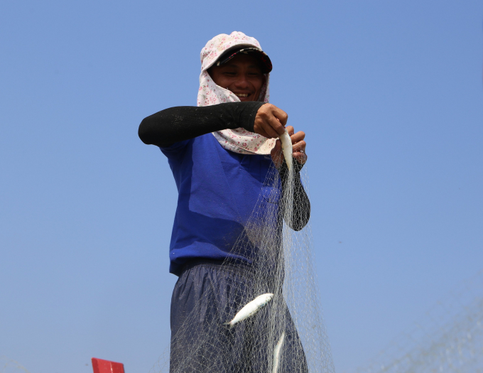 Anh Phùng cho hay, tháng 2 đến hết tháng 4 âm lịch là thời điểm 'vàng' khai thác cá trích nên sáng nào 2 chiếc thuyền của gia đình anh cũng vươn khơi. Tổng số cá trích đánh được hôm nay, anh bán được khoảng 20 triệu đồng,