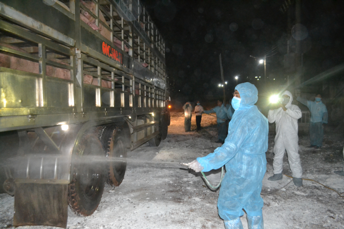 Tiêu độc khử trùng trước khi vào trại. Ảnh: Trần Trung.