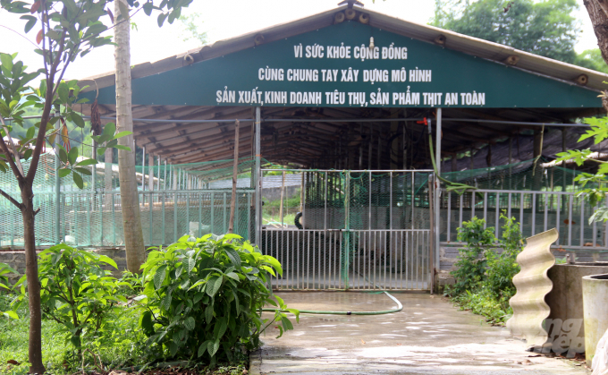 Phía bên ngoài khu nuôi nhốt lợn sinh sản anh Huân trồng nhiều cây để tạo bóng mát, giảm nhiệt độ vào mùa hè cho đàn lợn. Ảnh: Việt Khánh.