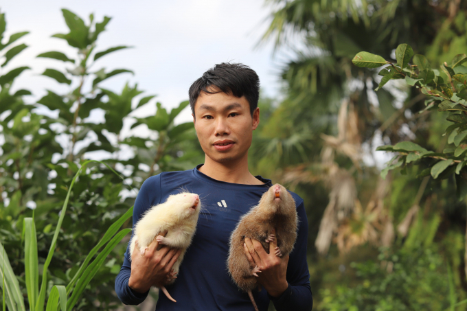 Anh Trần Đình Nhâm bỏ phố về quê khởi nghiệp bằng nghề nuôi dúi.