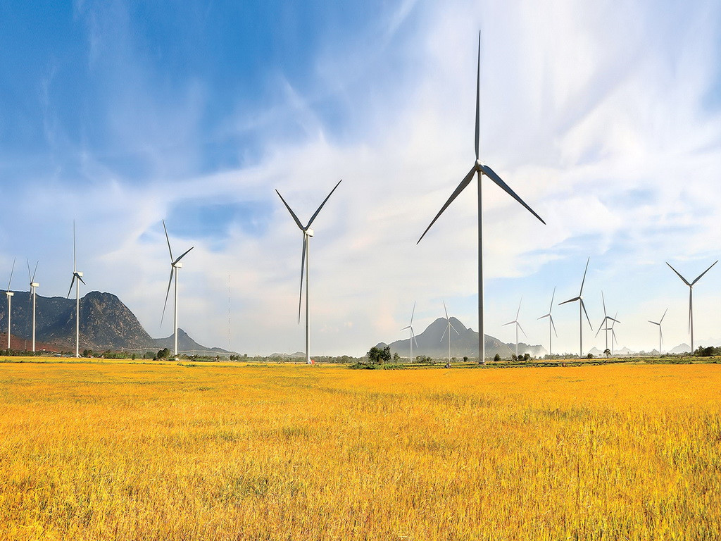 Vietnam wind power sector to see growing opportunities: Fitch Solutions